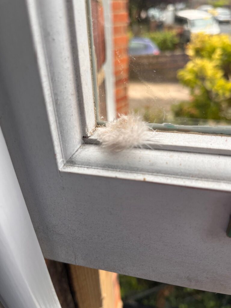 Sash Window Repair - Rochester, Kent